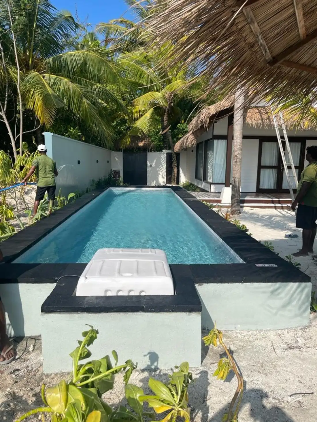 Resort-style pool among coconut palms with a dark coping edge — CreativPools